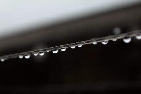 Rain liquid droplet photo