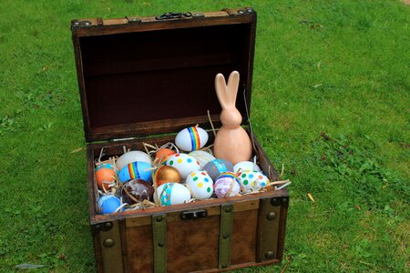 Bunny chest trunk photo