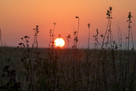 Twilight landscape sunrise