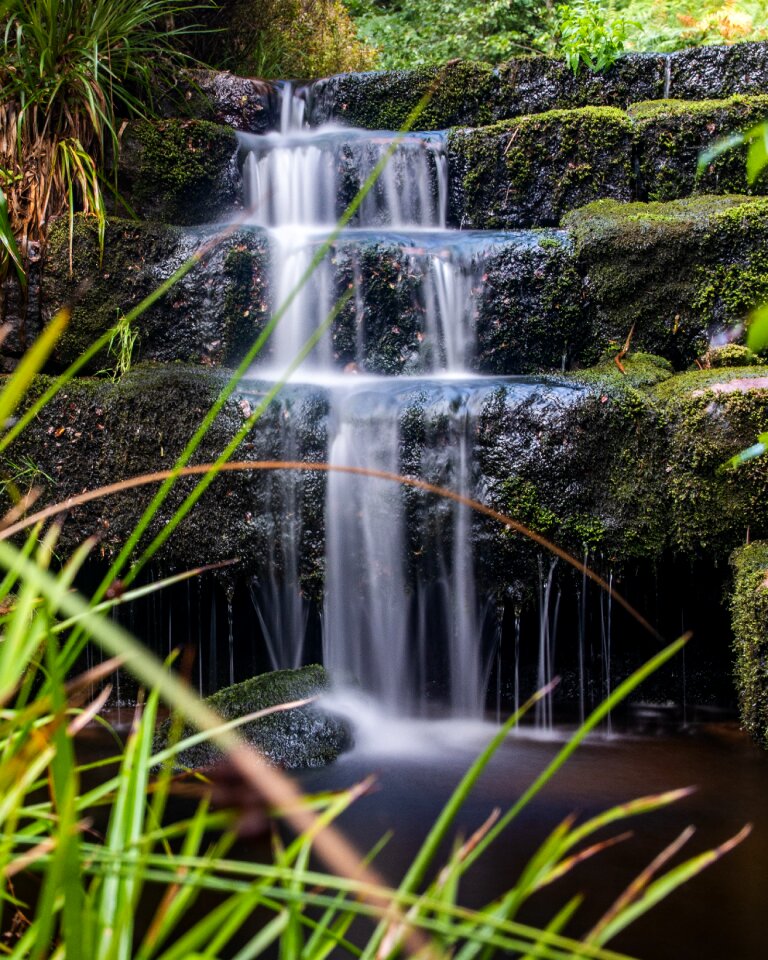 Landscape nature creek