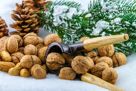 Christmas time eat food
