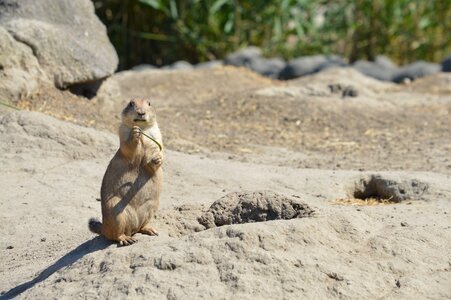 Rotterdam wildlife zoo