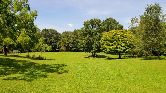 Nature fields green