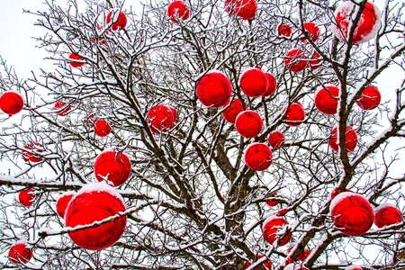 Balls red wintry photo