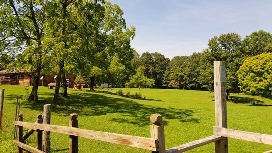 Nature fields green