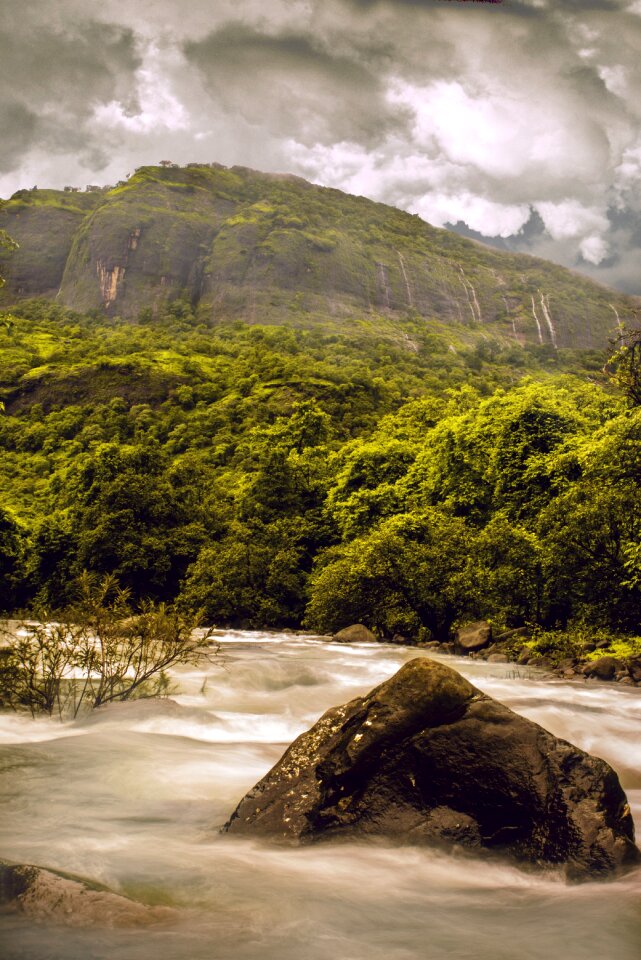 Plant water stream