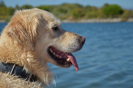 Nature summer travel photo