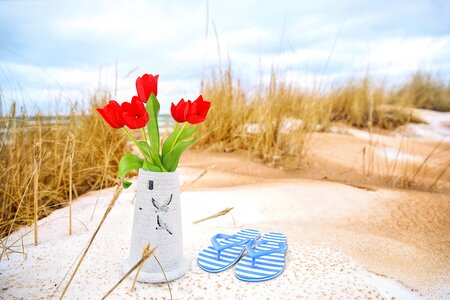 Vase flowers tulips
