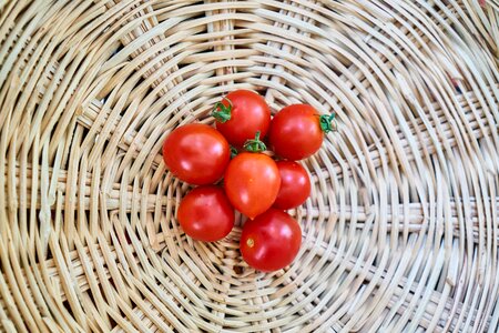 Wire mesh middle vegetable