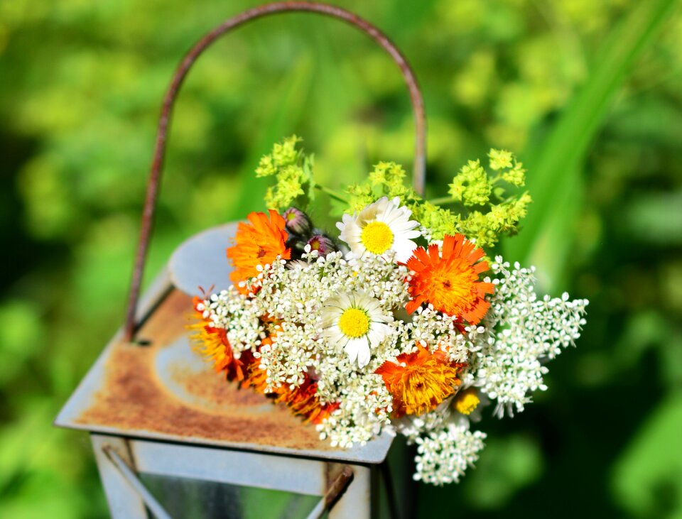 Lantern garden garden decoration