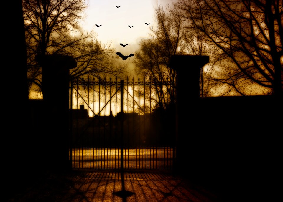Halloween weird darkness