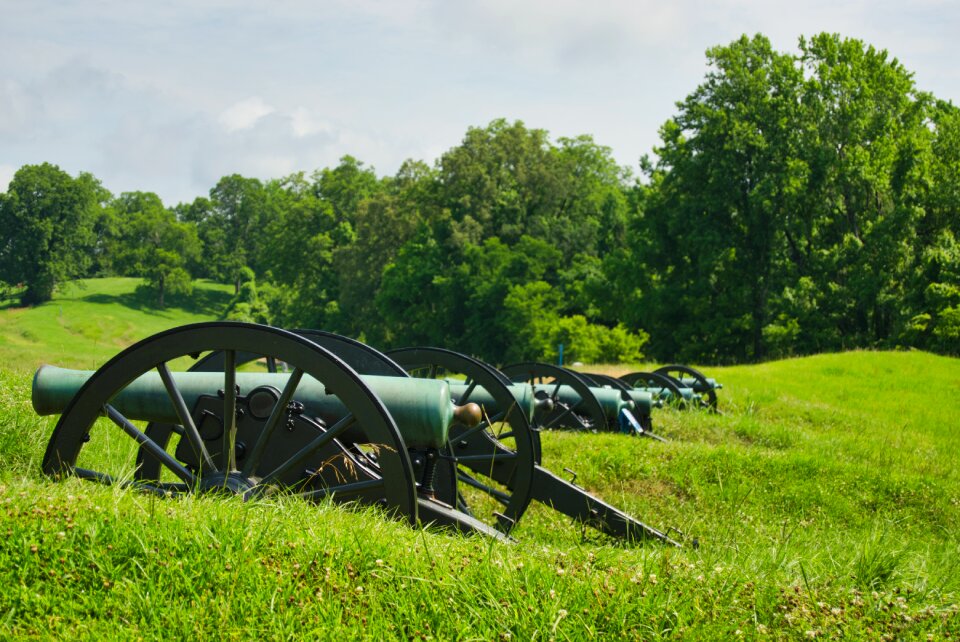 Cannon trees meadow