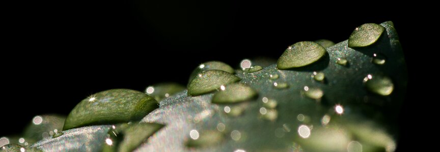 Drop of water liquid nature photo