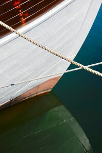 Ship traffic jams water bug