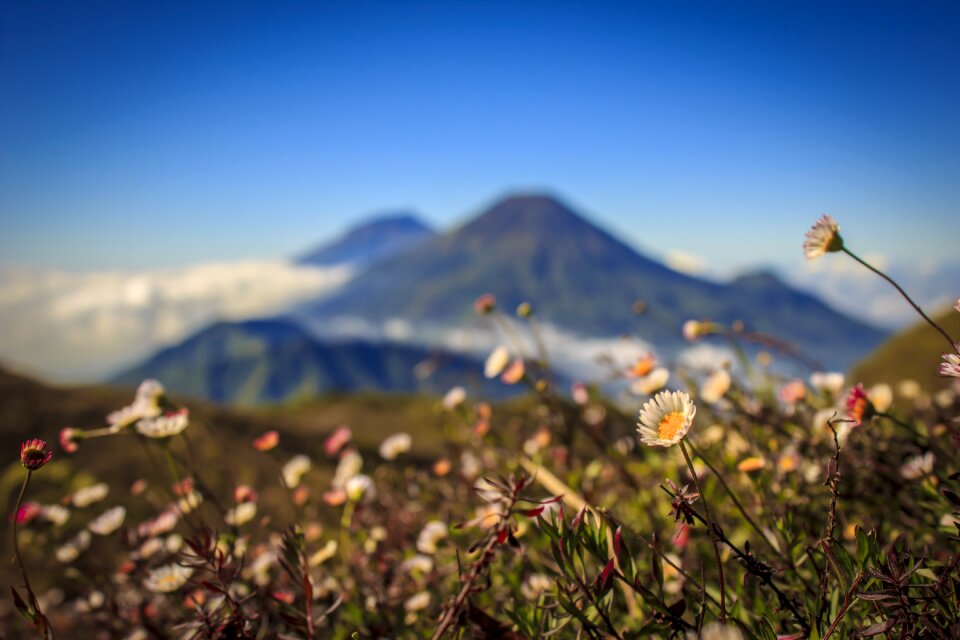 Scenery nature indonesia