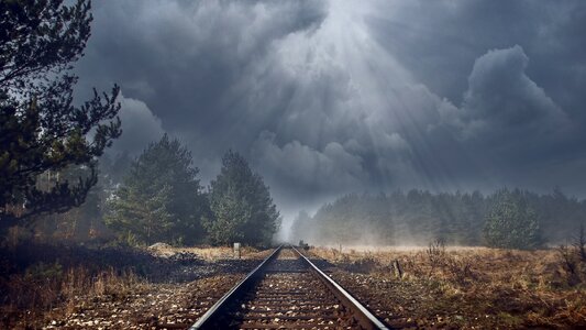 Railway rails forest railway