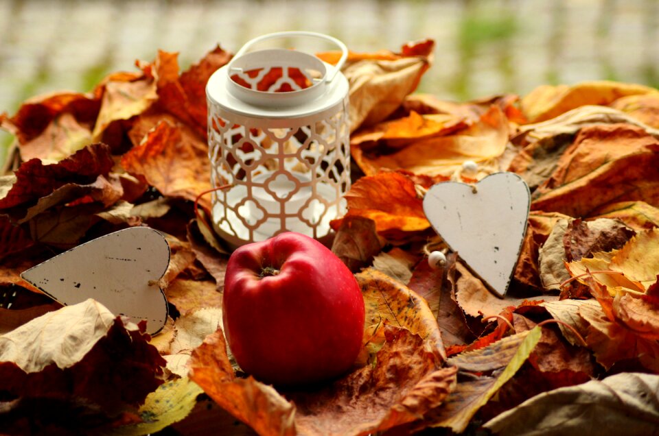 Apple in the fall decorative