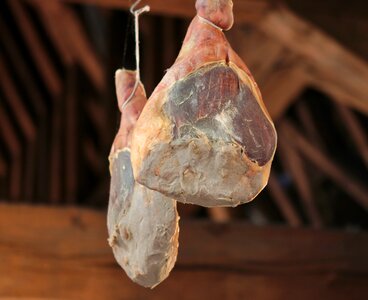 Gourmet belgium specialty