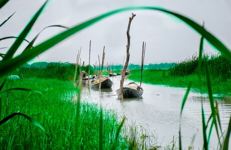Boat green grass