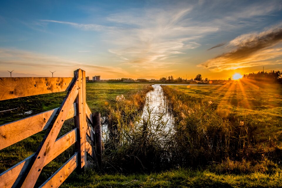 Nature river the sun