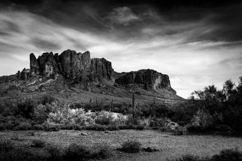 Nature outdoors black and white
