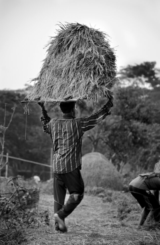 Working people gray work