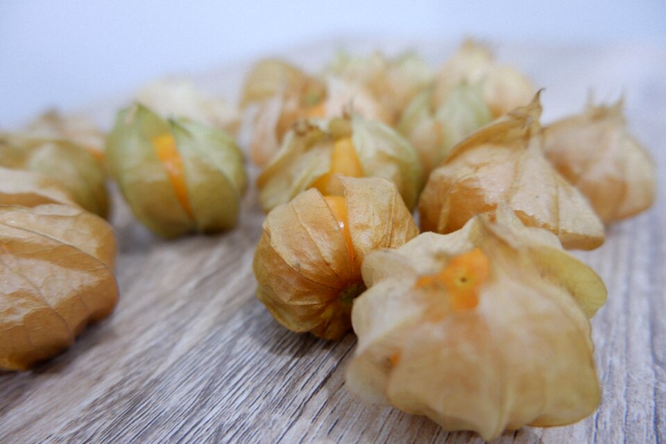 French golden bell cape gooseberry