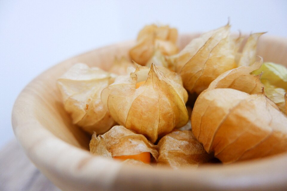 French golden bell cape gooseberry