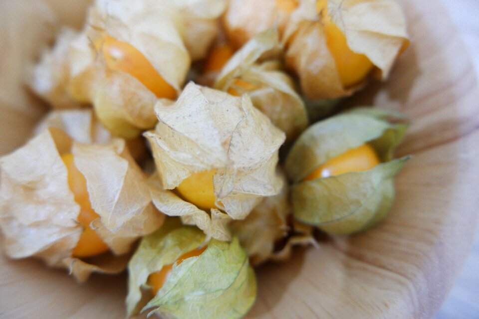 French golden bell cape gooseberry