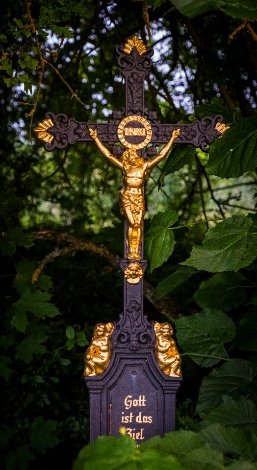 Golden black roadside