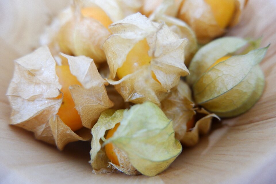 French golden bell cape gooseberry