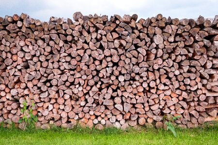 Tree trunks firewood holzstapel photo