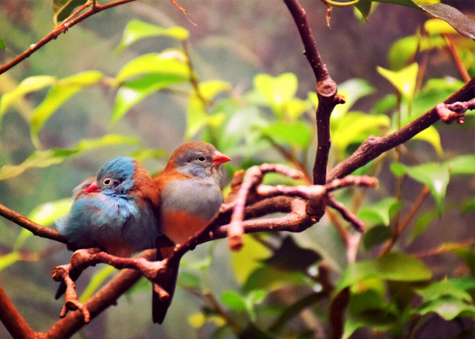 Nature romance romantic
