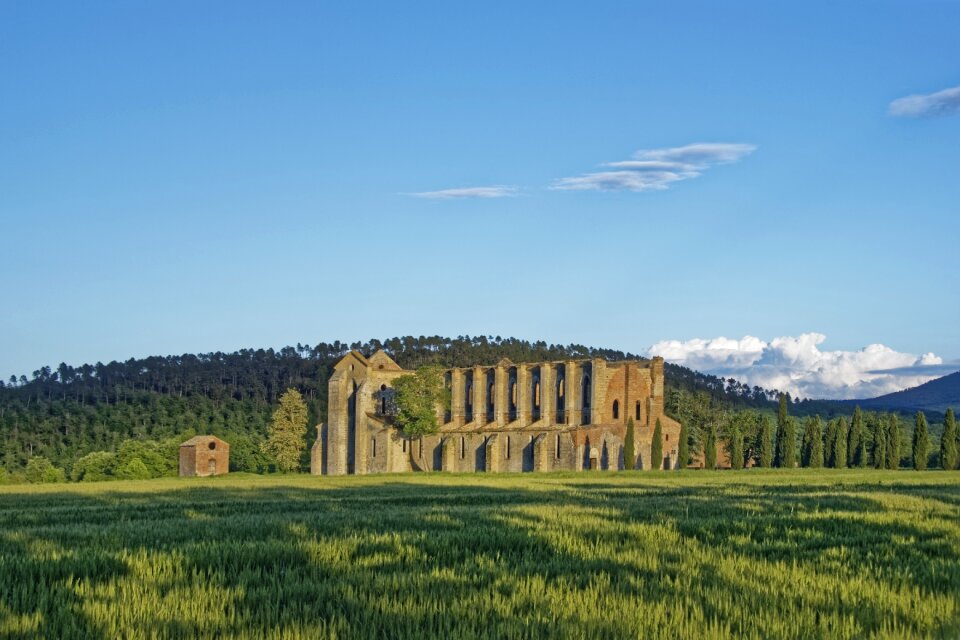 Abbey church ruin