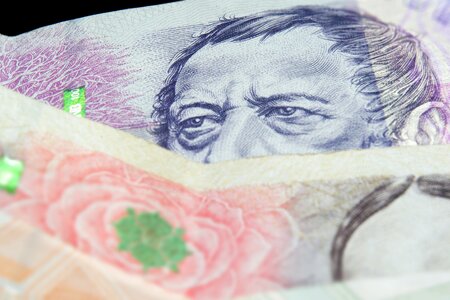 Crown currency republic