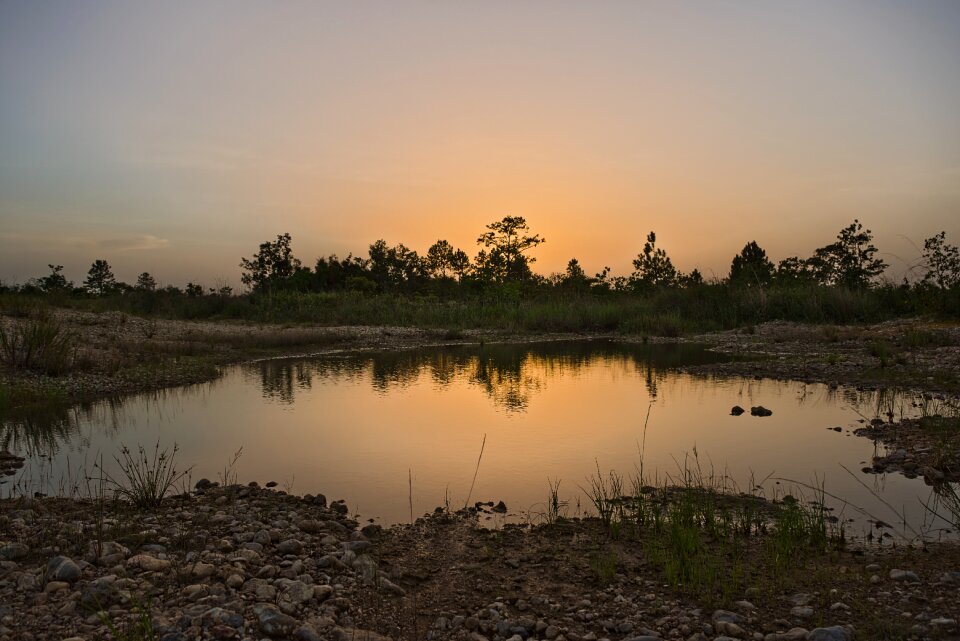Nature sunset summer