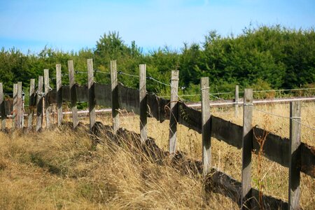 Wood fence meadow post photo