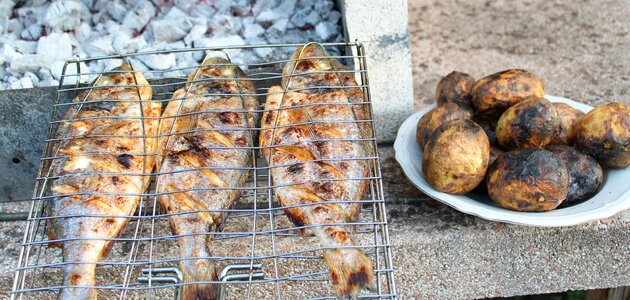 Fish grilled potatoes see bream