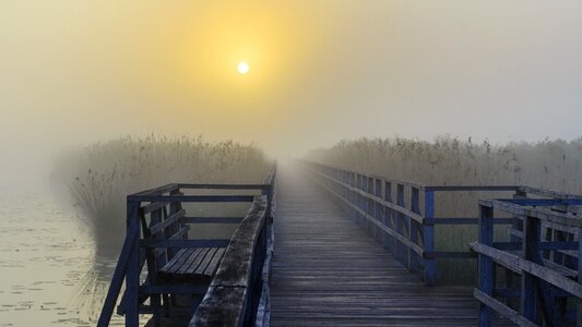 Nature reserve moor web