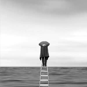 Ladder scy lonely