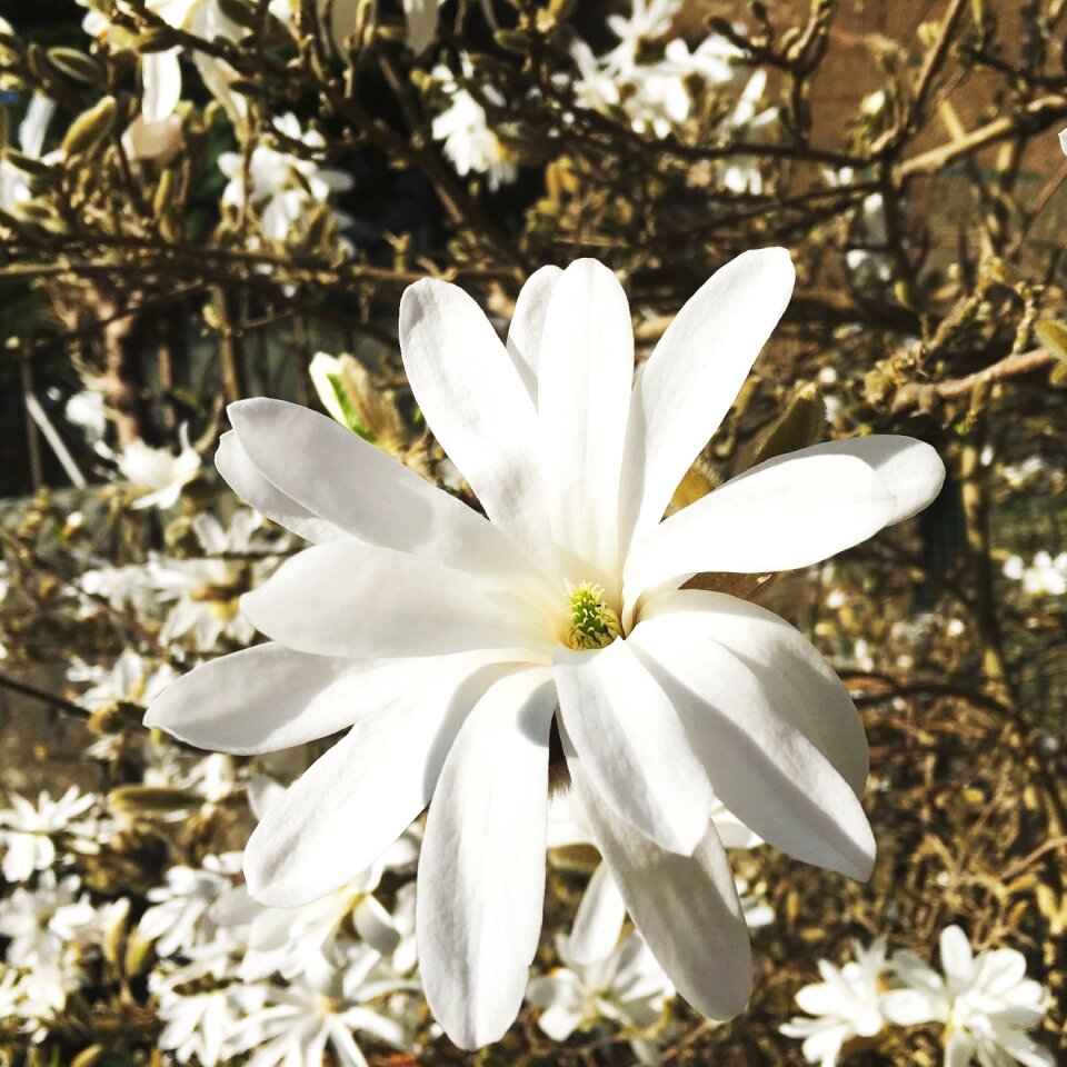 Nature season beautiful