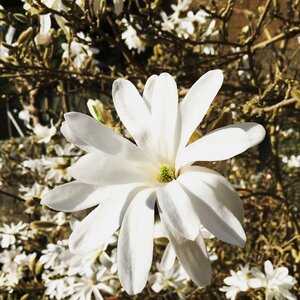 Nature season beautiful
