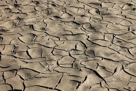 Desert nature texture photo