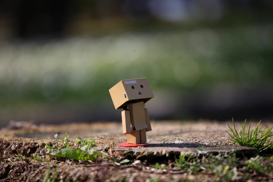 Wait and see look toys