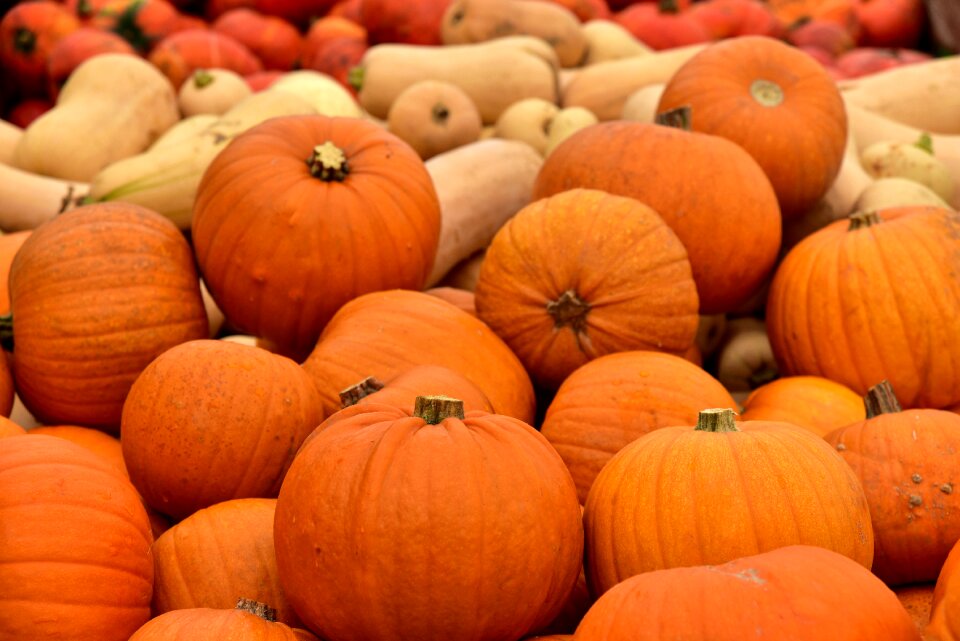 Halloween autumn sale