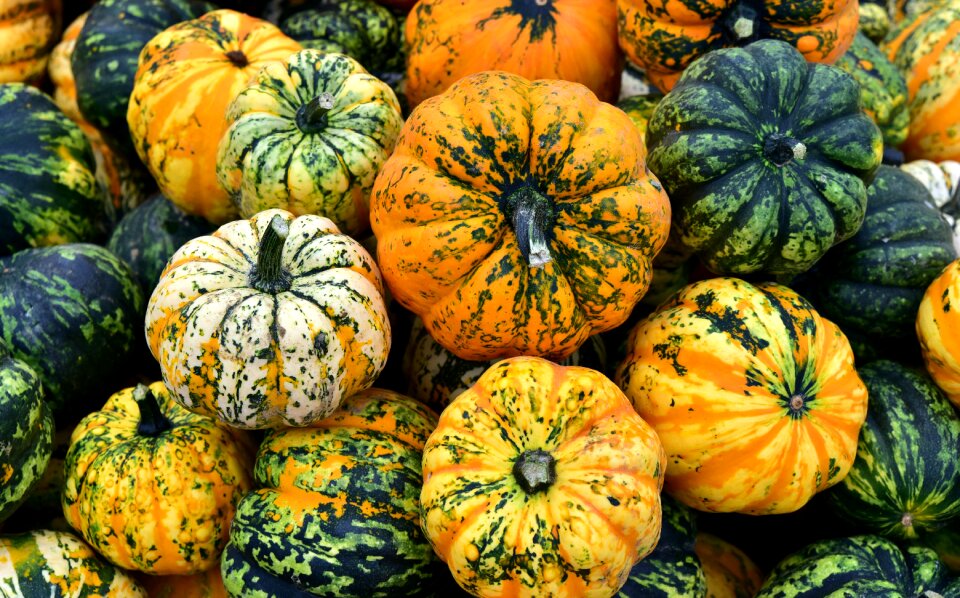 Pumpkin background autumn