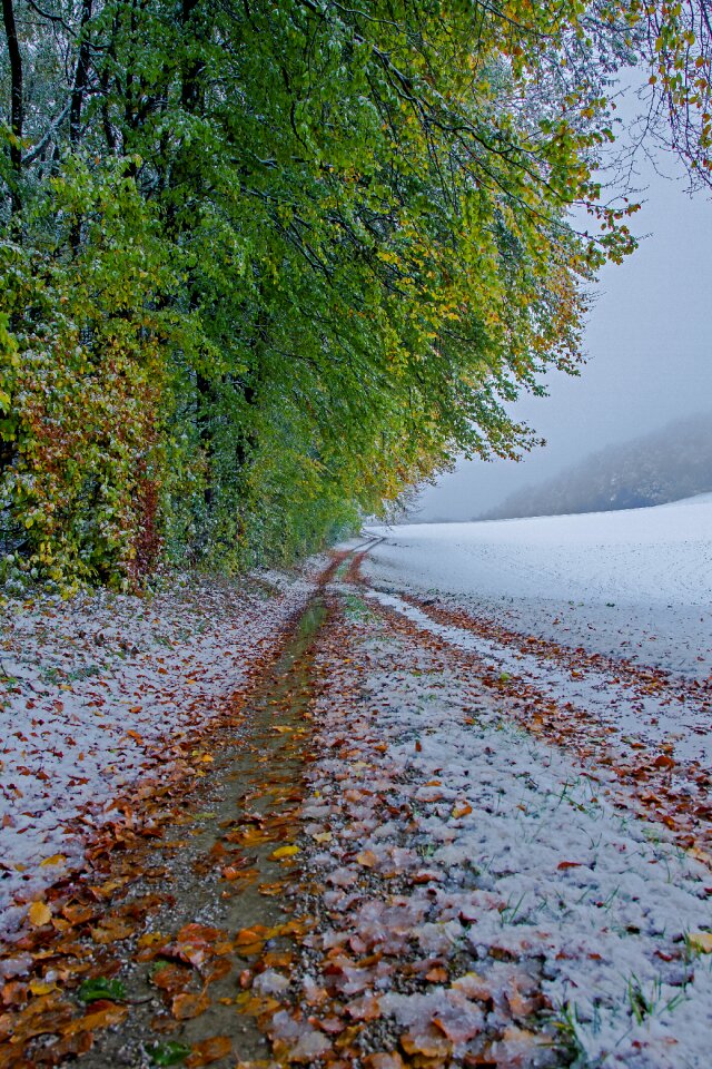 Snow snow load snowy