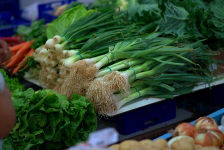 Vegetables onion nutrition