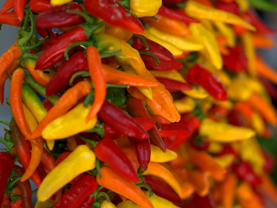 Fresh spicy kitchen
