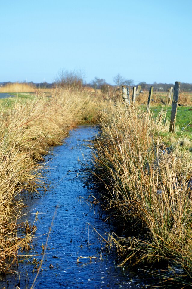 Dig winter landscape